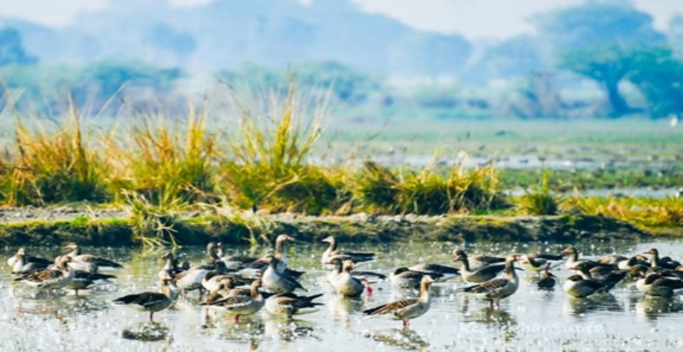 लखनऊ में अंतरराष्ट्रीय जैव विविधता दिवस पर संगोष्ठी, संरक्षण और सतत विकास पर जोर