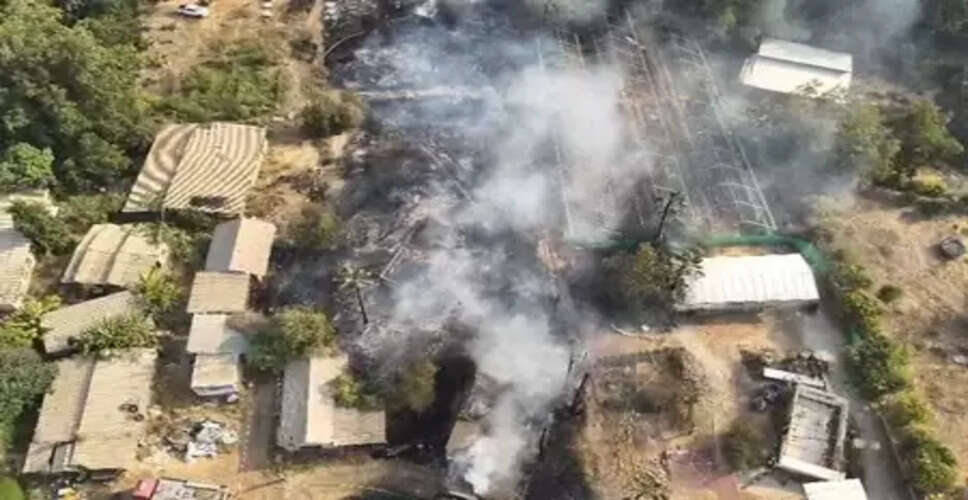 इजरायल: आइन वेरेड में तेजी से बढ़ रही जंगल की आग, 4 फायरफाइटिंग प्लेन तैनात