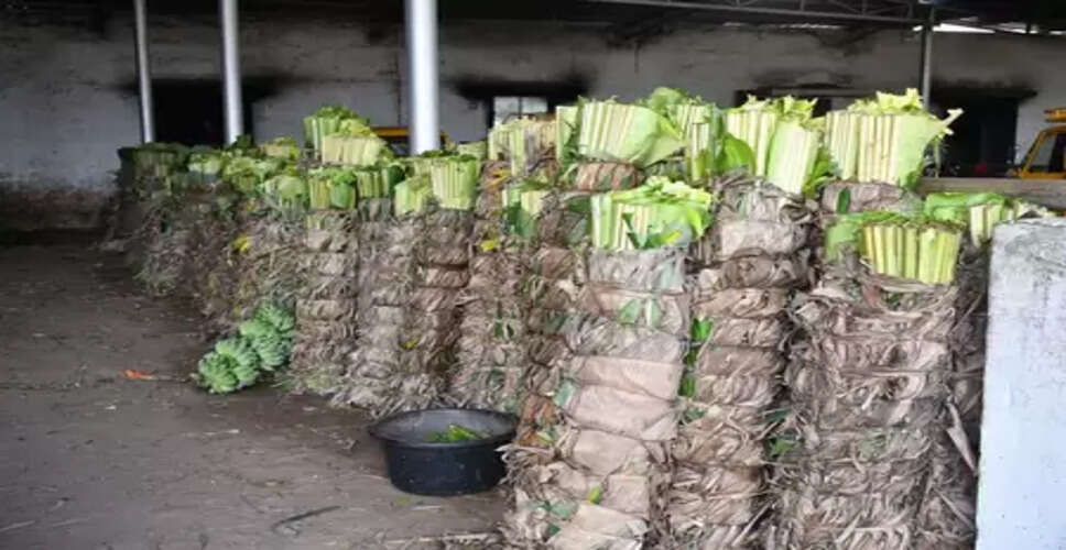 तमिलनाडु : बारिश में बागान तबाह होने से केले के पत्तों की कीमतों में उछाल