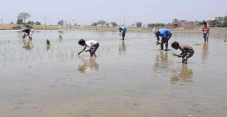 भारत के पास आने वाले बुआई सीजन के लिए बीजों का पर्याप्त भंडार मौजूद : केंद्र