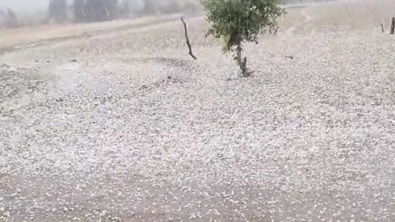 राजस्थान में बदला मौसम: रेगिस्तान में ‘कश्मीर’ जैसा नजारा, ओलों से ढका जैसलमेर