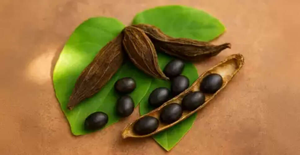 क्रोंच बीज: पुरुष के लिए एक चमत्कारी आयुर्वेदिक 'टॉनिक', जो तन-मन दोनों का रखे ख्याल