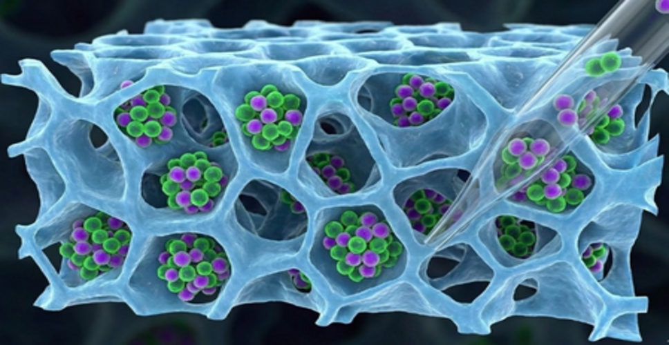 आईआईटी बॉम्बे ने कैंसर थेरेपी के लिए टी-सेल्स रिकवर करने की नई तकनीक विकसित की