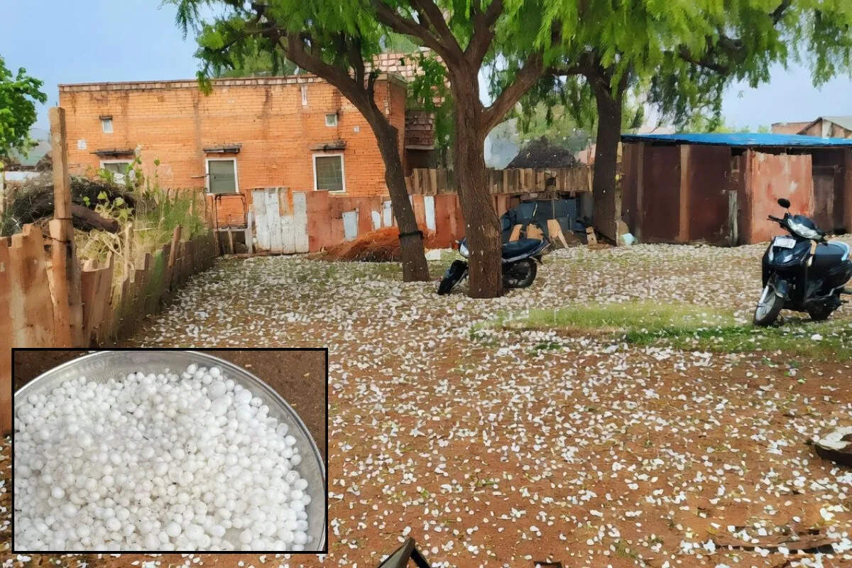 राजस्थान में फिर सक्रिय हुआ पश्चिमी विक्षोभ, कई जिलों में बदला मौसम, बूंदाबांदी और ओलावृष्टि