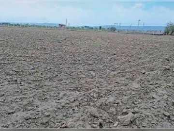 राजस्थान की 80 तहसीलें सूखाग्रस्त घोषित, वीडियो में जाने 14 जिलों में अकाल जैसे हालात; पशुओं के लिए खुलेंगे चारा डिपो