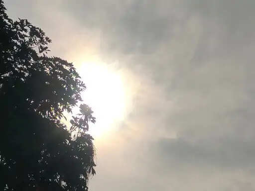 राजस्थान में कमजोर पड़ा मानसून, आषाढ़ में बारिश ने तोड़ा उम्मीदों का साथ; 12 जिलों में सूखे जैसे हालात