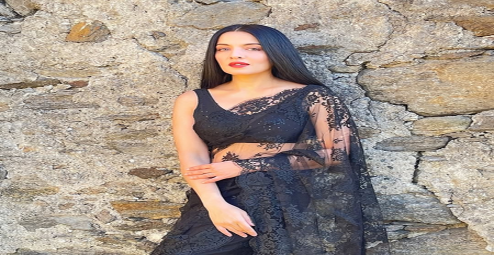 यूएई में हिरासत में मेजर विक्रांत ने बहन सेलिना जेटली से संपर्क से किया इनकार, दिल्ली हाईकोर्ट ने याचिका का किया निपटारा