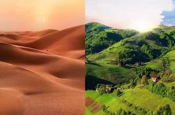 थार मरुस्थल की उत्पत्ति की रहस्यमयी कहानी, वीडियो में जानिए&nbsp;कैसे एक हरा-भरा इलाका बना भारत का सबसे बड़ा रेगिस्तान?