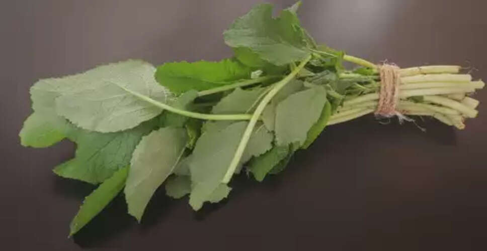 सर्दियों में सरसों का साग: सेहत का कवच और स्वाद का साथी