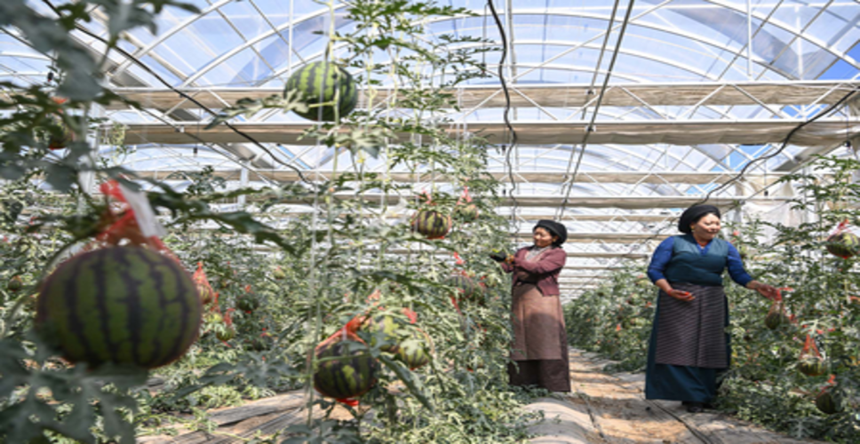 शीत्सांग (तिब्बत) में तेजी हो रहा विकास