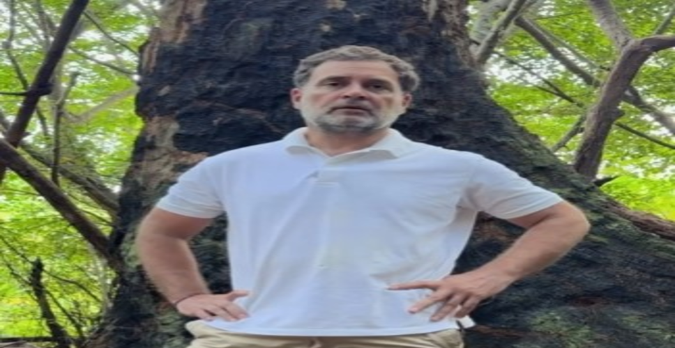 राहुल गांधी ने किया ग्रेट निकोबार द्वीप का दौरा, केंद्र की परियोजना पर बोले- 'ये विकास नहीं, विनाश है'