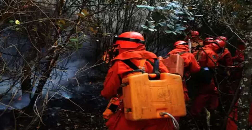 चीन के युन्नान में 2 दिनों से नहीं बुझ रही जंगल की आग, बचाव अभियान जारी