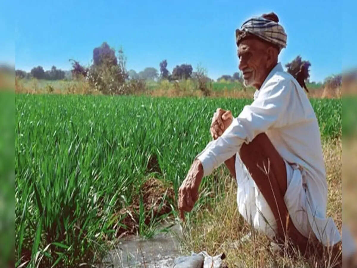 राजस्थान में ओलों ने बरपाई तबाही, किसानों की फसलें चौपट, कई जगह शत-प्रतिशत नुकसान