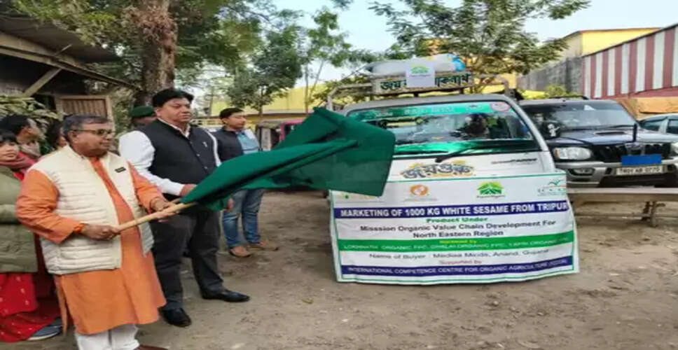त्रिपुरा से गुजरात को जैविक सफेद तिल का निर्यात; 2023 से अब तक 5.50 करोड़ निर्यात