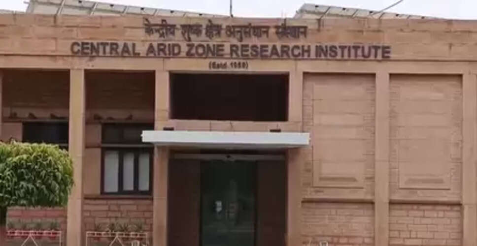 राजस्थान: जोधपुर के किसानों के लिए वरदान भगवा वैरायटी, कई गुना हो रही आमदनी