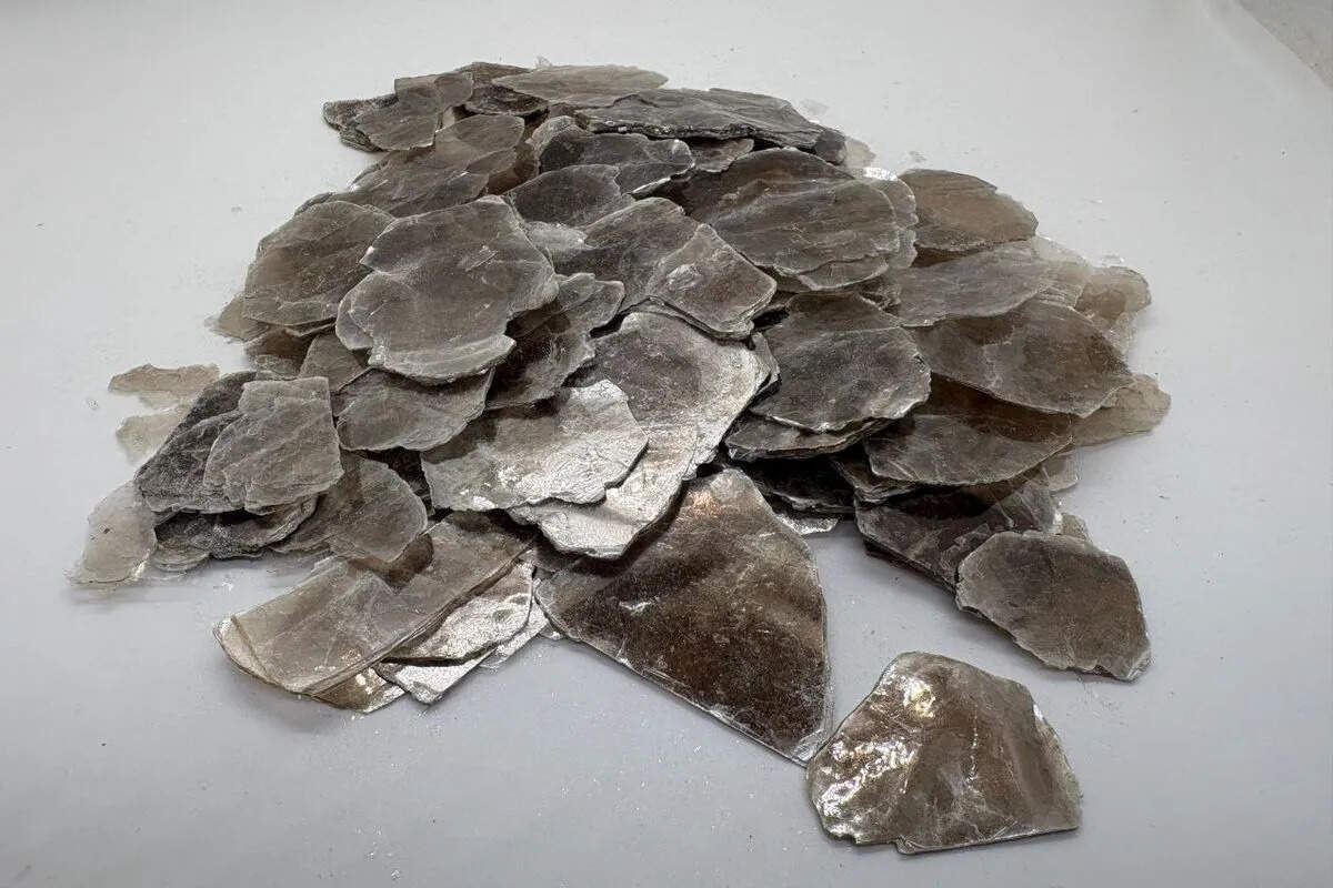 वाणिज्य मंत्री को ज्ञापन: प्रतिबंधित श्रेणी में शामिल करने के प्रस्ताव का विरोध, लाखों रोजगार पर संकट की चेतावनी