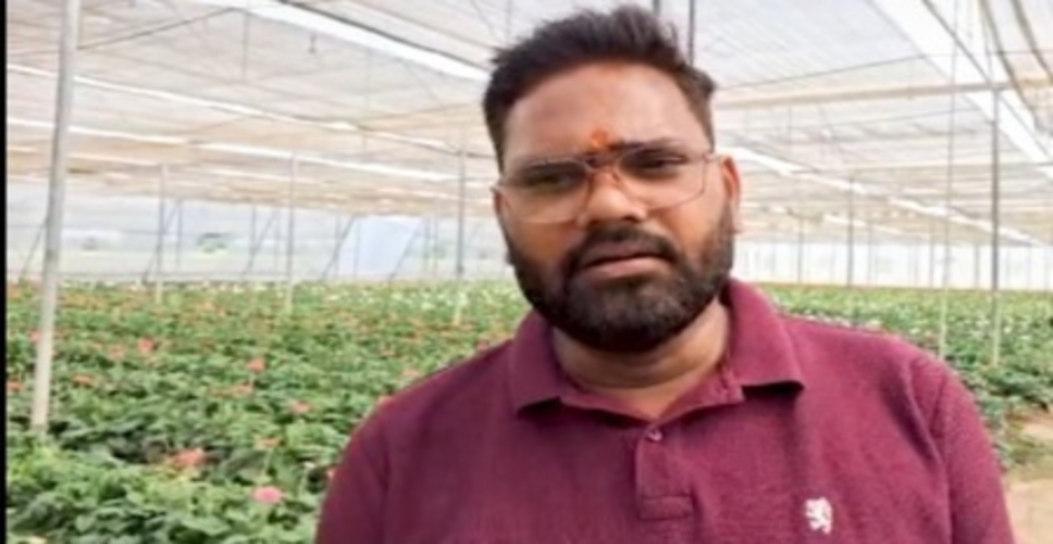 सब्सिडी ने बदली नीरज की किस्मत, जरबेरा की खेती से हर साल लाखों की कमाई