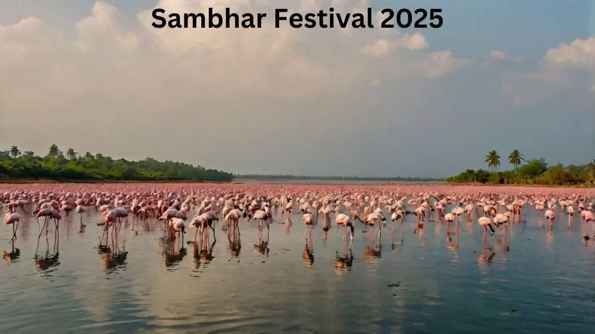 सांभर झील में सजेगा 5 दिवसीय महोत्सव, सतरंगी रंगों में नहाई झील बनी आकर्षण का केंद्र