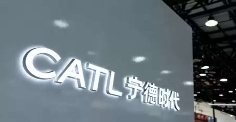 सऊदी अरब ने निवेश के लिए चीनी नई ऊर्जा कंपनियों का स्वागत किया