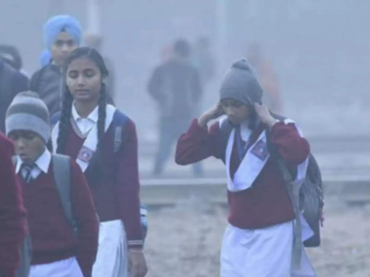 राजस्थान में कड़ाके की ठंड और कोहरे का कहर, फुटेज में जानें 11 जिलों में स्कूलों की छुट्टियां घोषित
