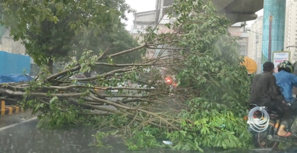 तेज आंधी और बारिश से नोएडा में व्यापक नुकसान, करीब 400 पेड़ गिरे, युद्धस्तर पर राहत कार्य