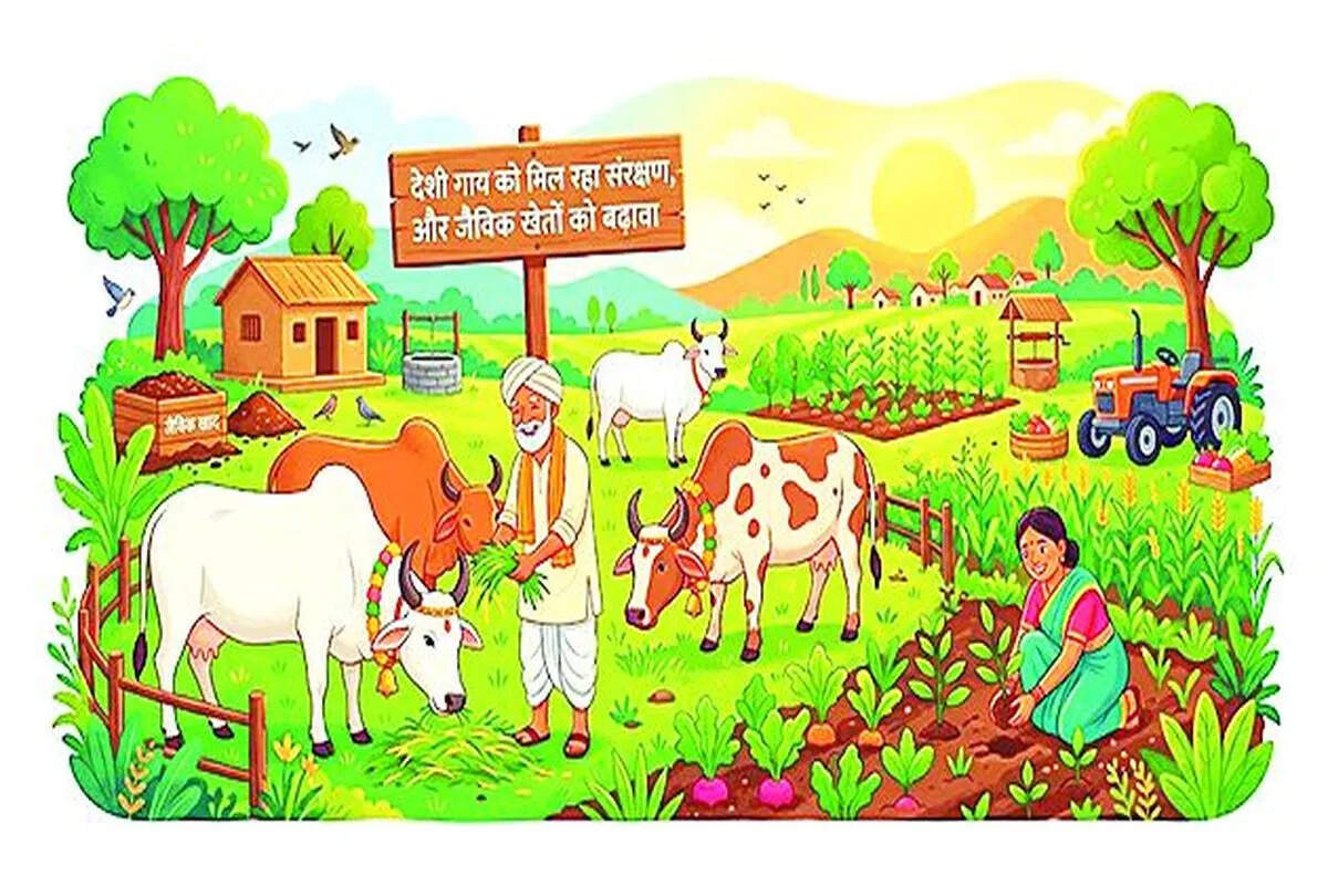 राष्ट्रीय प्राकृतिक खेती मिशन से किसानों को राहत, रासायनिक उर्वरकों पर घट रही निर्भरता; 7 हजार किसान हुए लाभान्वित