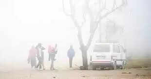 धुंध से ढका राजस्थान, 48 घंटों में 4 डिग्री तक लुढक सकता है पारा, 15 जिलो में घने कोहरे का अलर्ट