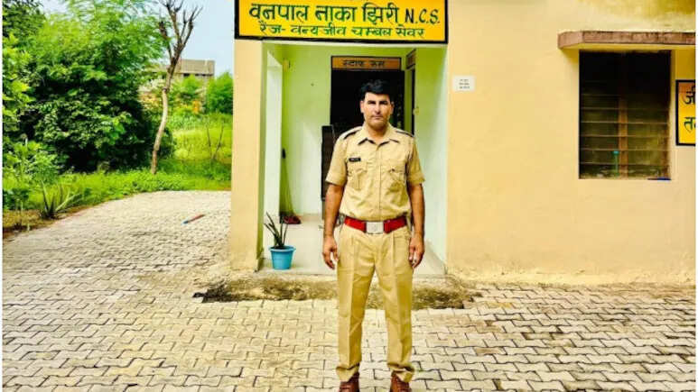 बजरी माफिया ने वनकर्मी की जांघ पर चढ़ा दिया ट्रैक्टर, अस्पताल में जिंदगी और मौत से जूझ रहे जितेंद्र; लोग मांग रहे सलामती की दुआ