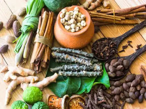 राजस्थान के पहले आयुष सर्वे में बड़ा खुलासा: 81% परिवारों ने माना आयुष उपचार असरदार, आयुर्वेद बनी पहली पसंद
