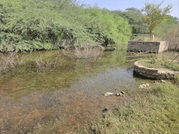 नया गांव के मोक्षधाम श्मशान घाट की बदहाल स्थिति, सालभर भरा रहता है पानी; अंतिम संस्कार में लोगों को परेशानी