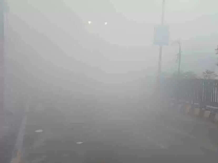 राजस्थान में कड़ाके की सर्दी और कोहरे का असर: नए साल में पहली बार तापमान शून्य डिग्री पर रिकॉर्ड