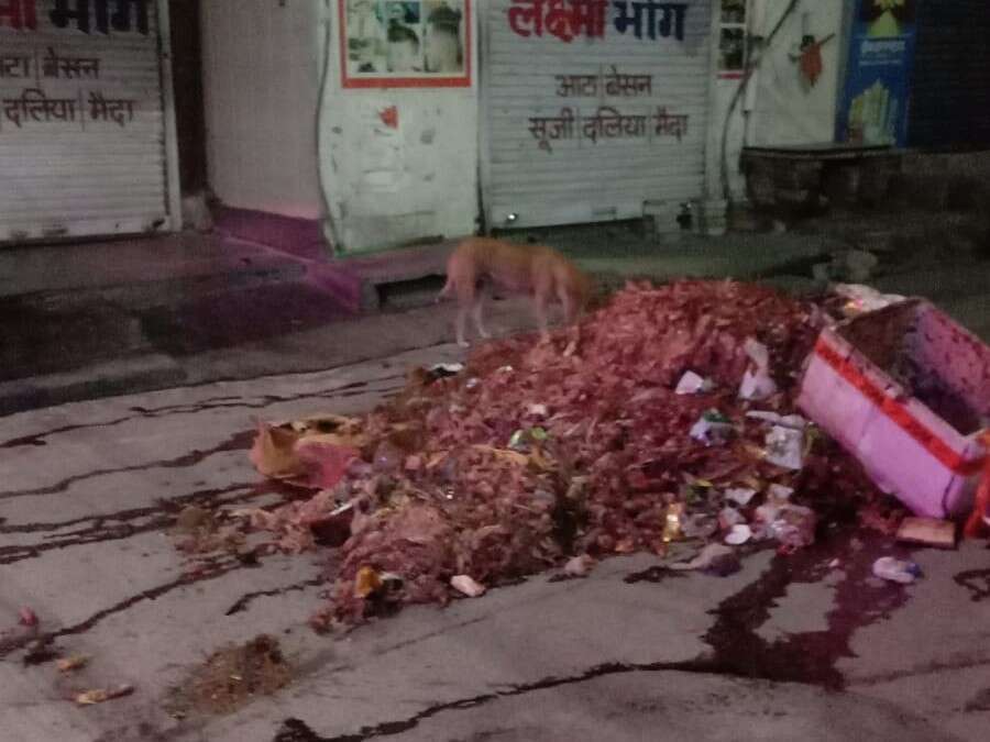 जयपुर के सोडाला में सड़क पर फेंके गए मृत जानवरों के अवशेष, लोगों का फूटा गुस्सा; CCTV में कैद हुई घटना