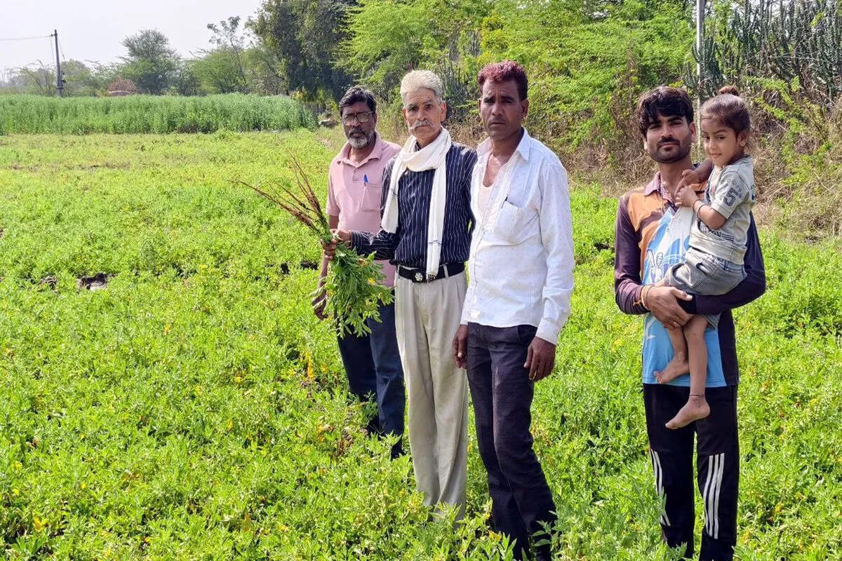 झोर गांव के किसान ने बदली खेती की तस्वीर, केसर और अश्वगंधा से लिखी सफलता की नई कहानी