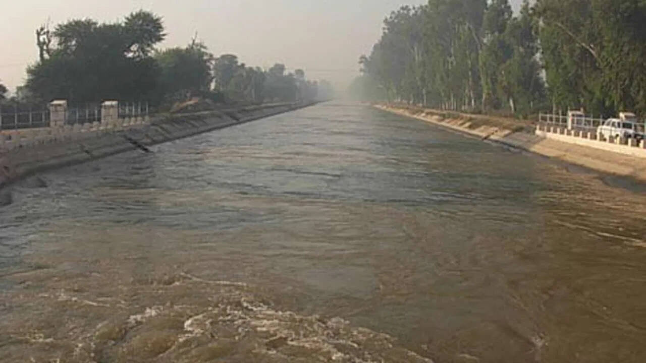 इंदिरा गांधी नहर का इतिहास VIDEO रेगिस्तान में पहुंचा पानी तो बदल गई राजस्थान की तस्वीर