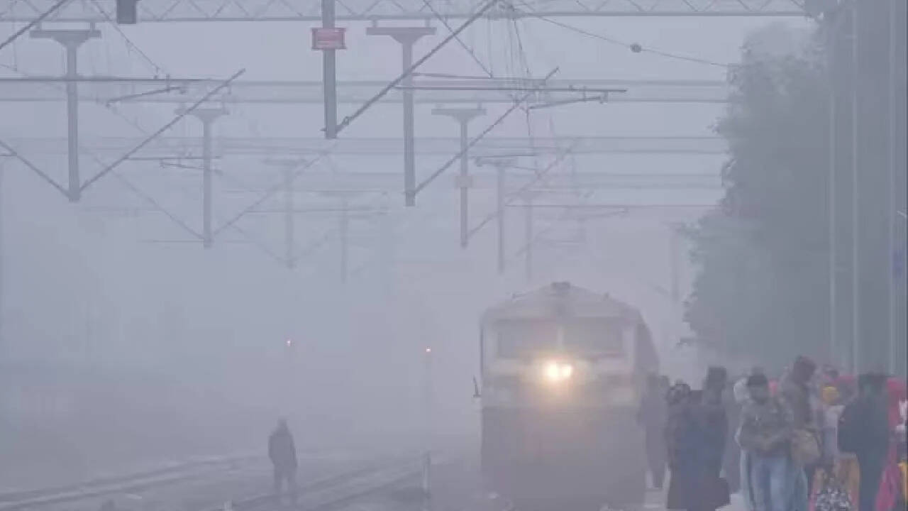 राजस्थान में कड़ाके की ठंड और घना कोहरा, वीडियो में जानें ठंड से 2 मौत, ट्रेनें फ्लाइट लेट, 20 जिलों में स्कूल बंद