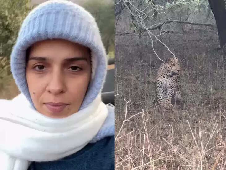 जयपुर में ‘लेपर्ड वाली मां’ के दर्शन करने पहुंची साइना नेहवाल, Video