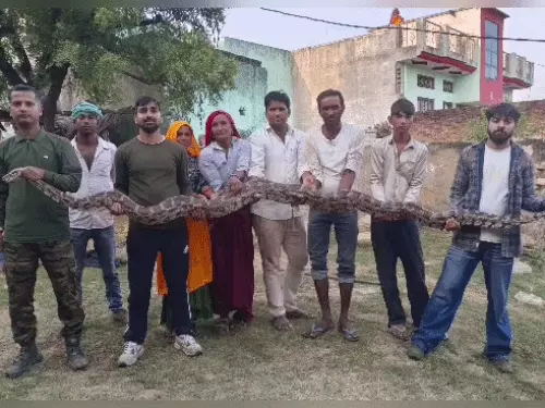 किसान के घर के पास निकला 15 फीट लंबा अजगर, झाड़ियों में छिपकर बैठा था; महिलाओं ने हाथ में लेकर खिंचवाए फोटो