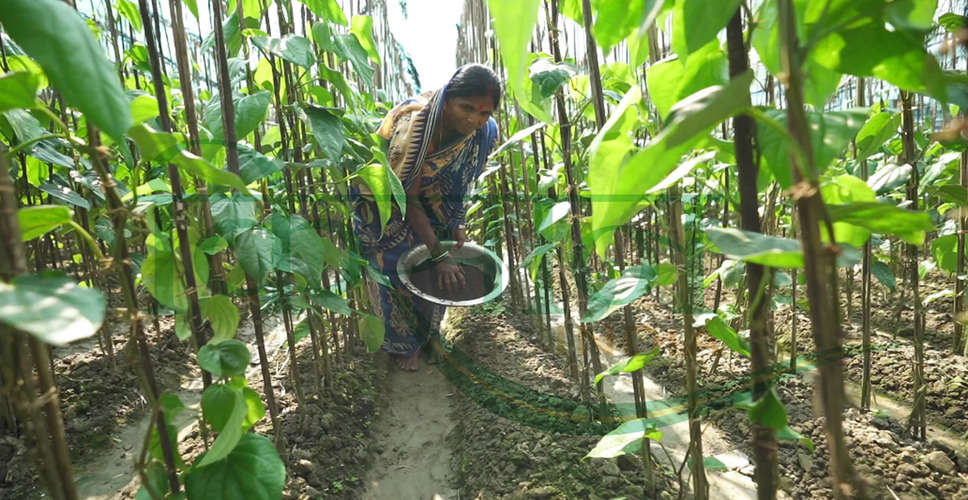 Sawaimadhopur किसान ने कहा- जैविक खाद से खेती करने पर फसल अच्छी और सस्ती होती है