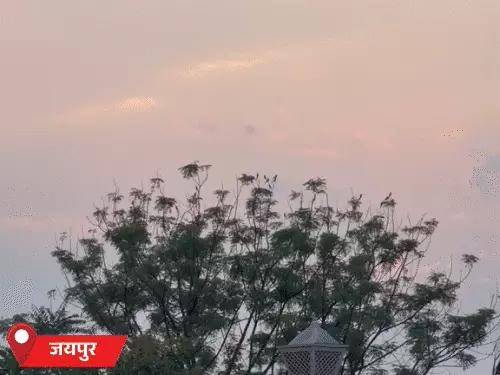 Rajasthan Weather Update: राजस्थान में तीन दिन साफ रहेगा मौसम, 29 अक्टूबर से जयपुर-भरतपुर-कोटा संभाग में आंधी-बारिश का अलर्ट