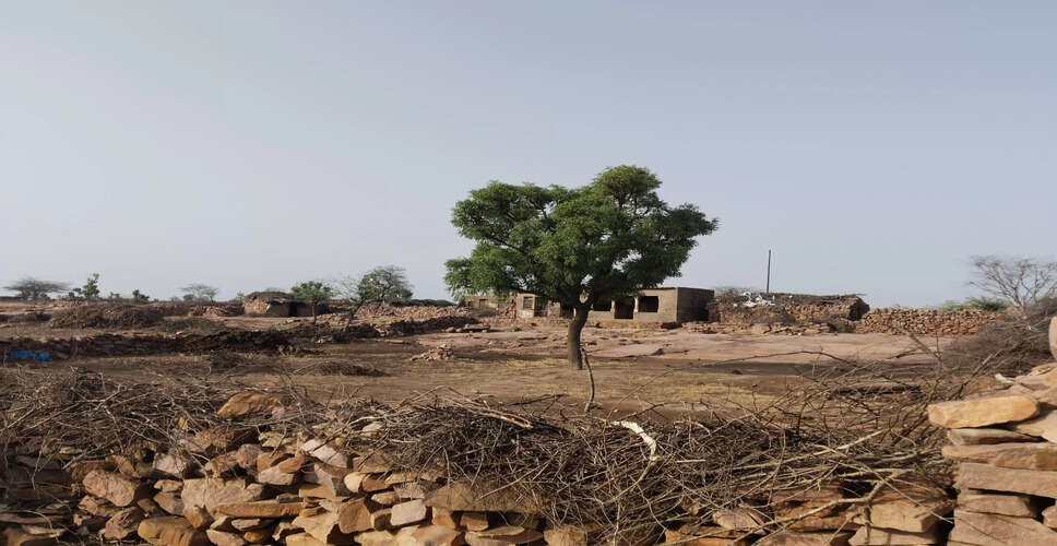 राजस्थान का अनोखा गांव! जहां 8 महीने पहाड़ी पर और 4 महीने तलहटी में रात बिताने को मजबूर हैं लोग,&nbsp;मजबूरी या परंपरा जाने क्या है राज़ ?