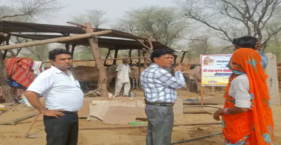 Bharatpur भुसावर में रजिस्ट्रार ने किया गौशालाओं का किया निरीक्षण