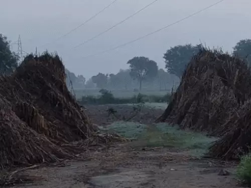 अलवर में बदला मौसम का मिजाज, खेतों में ओस की चादर; तीन दिन में 5 डिग्री गिरा पारा