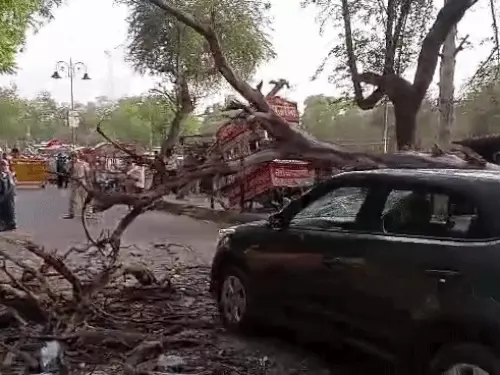 बीकानेर में तेज अंधड़ से अफरा-तफरी, चलती कार पर गिरा पेड़, बड़ा हादसा टला