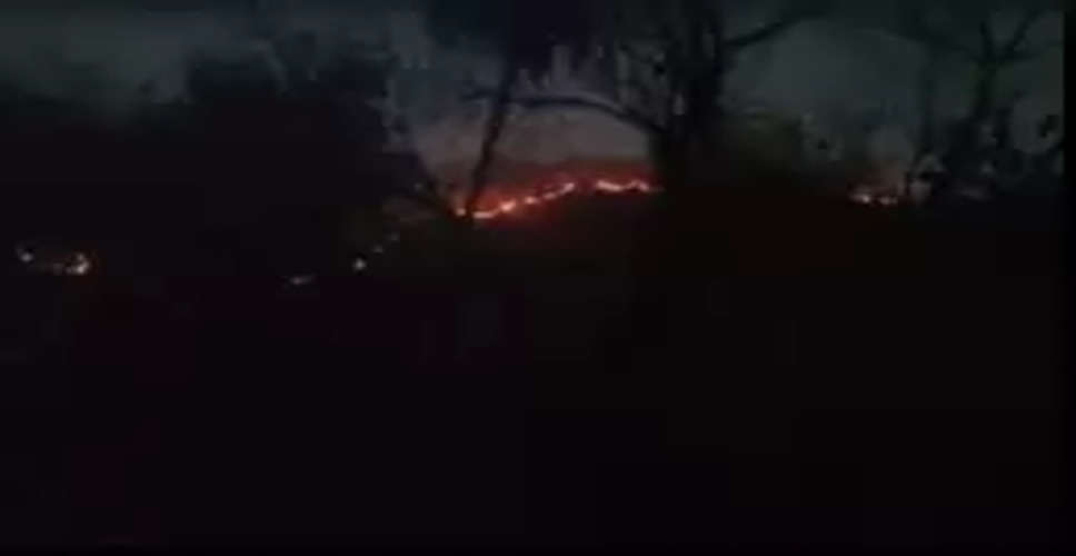 Alwar सरिस्का के जंगलों में लगी आग नियंत्रण में, बड़ा हादसा टला