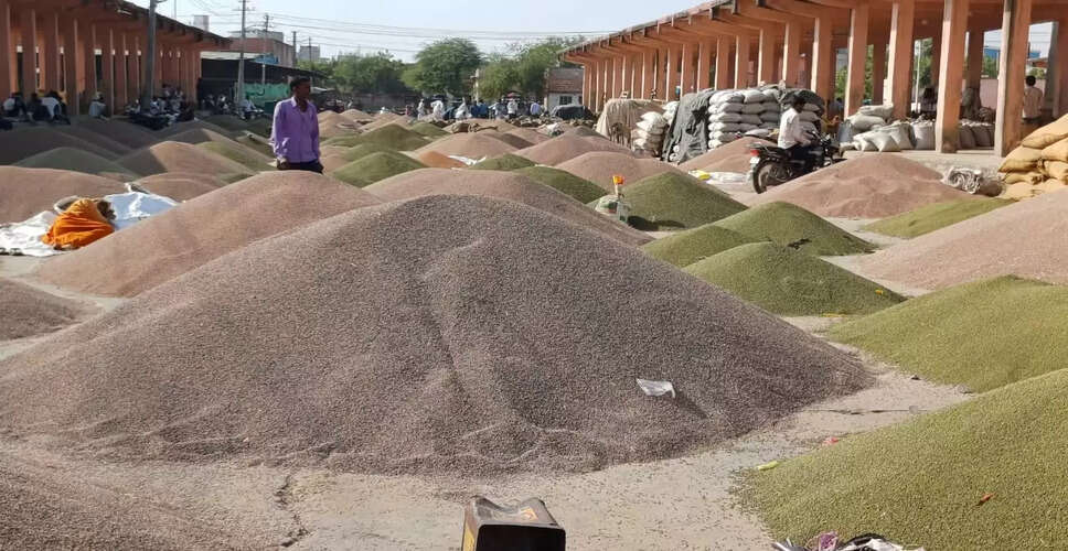 नागौर कृषि उपज मंडी में नए साल के दूसरे दिन व्यापार में दिखी तेजी