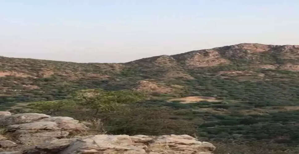 आखिर क्यों राजस्थान की इस पर्वत श्रंखला को कहा जाता हैं दिल्ली-एनसीआर का फेफड़ा, वीडियो देख चौंक जाएंगे आप