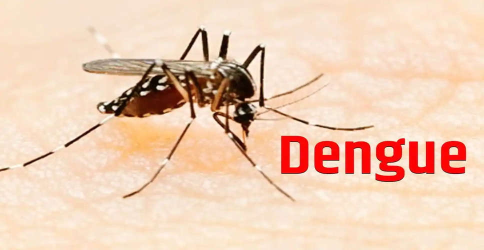 Banswara में डेंगू से तेज बुखार समेत अन्य लक्षण, इलाज शुरू, रिपोर्ट का इंतजार