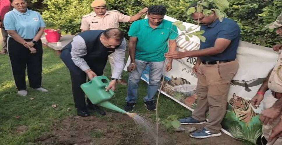 मुख्य सचिव ने केवलादेव घना में देखे पक्षी: DFO से ली व्यवस्थाओं की जानकारी, जनाना हॉस्पिटल का भी किया निरीक्षण