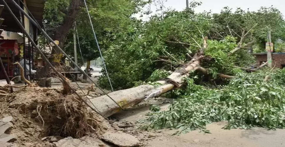 Rajasthan Weather Alert: प्रदेश में तेज अंधड़ और बारिश से हुआ नुकसान, कई इलाकों में पेड़ गिरने से बिजली हुई गुल