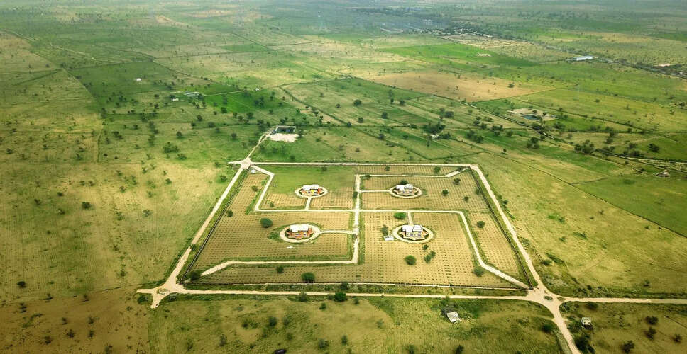 बीकानेर में अनोखी पहल: खेत में उकेरा &lsquo;स्वस्तिक&rsquo;, पर्यावरण संरक्षण का दिया संदेश